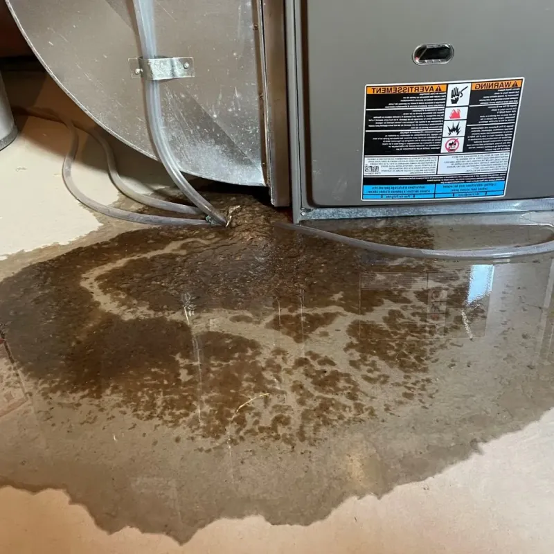 Pipe Burst and Leak Restoration in Shrewsbury, PA