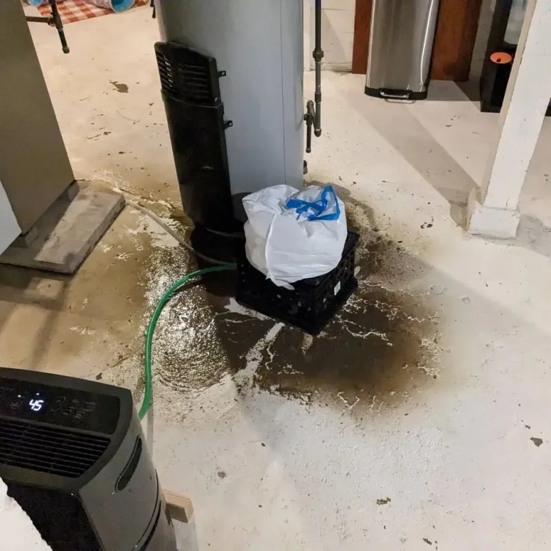 Sewage Backup Cleanup Service in Shrewsbury, PA